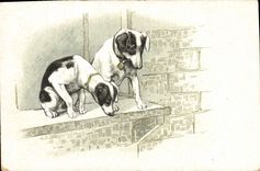 CPA Chien Chiens Chiot 