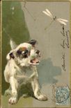 CPA Chien Chiens Chiot 