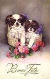 CPA Chien Chiens Chiot 