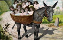 Vintage Postcard Imagination Child Baby Donkey Mule