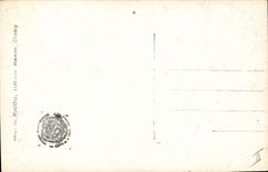 CPA Fantaisie Enfant Bebe Graine de poilus