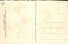 Vintage Postcard Imagination Illustrator Walt Disney the blow of Lulubelle
