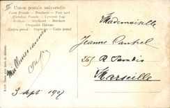 Vintage Postcard Imagination Orientalism Oasis with drill of date palms