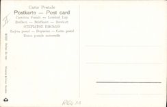 Vintage Postcard Imagination Orientalism Scene of street Donkey Mule