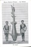 CPA Peche Missions Maristes d'Oceanie Iles Salomon Un requin 