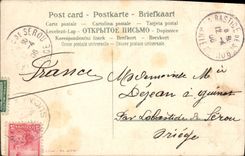 Postal Pesca Niño Gato