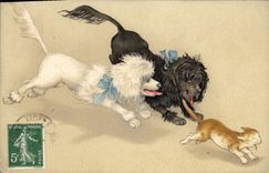 CPA Chien Chiens Chiot Chat