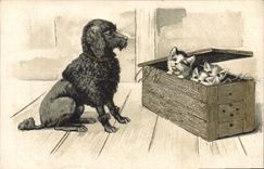 CPA Chien Chiens Chiot Chat Chats Chaton