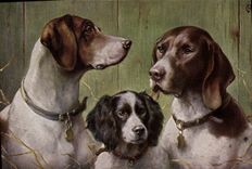 CPA Chien Chiens Chiot Pointer Deutscher Vorstehhund und Water Spaniel