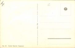 Vintage Postcard Dog Dogs Pup Cocker spaniel Spaniel