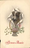 Vintage Postcard Dog Dogs Pup abrasion in corner and edge lack of left if not good presentation