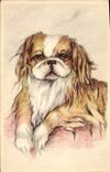 CPA Chien Chiens Chiot 