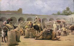 Vintage Postcard Imagination Orientalism Caravanserai Camel