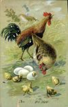 CPA Coq 