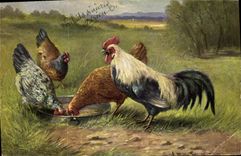 CPA Coq 