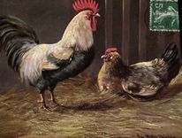 CPA Coq Poule