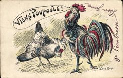 CPA Coq Poule