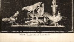 CPA Coq Pompei Case dei Vettii Galli in combattimento