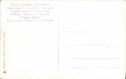 CPA Fantaisie Orientalisme Oasis avec foret de dattiers