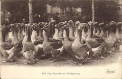 CPA Oies Une famille en villegiature 