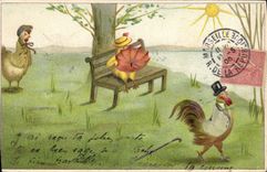 CPA Coq Poule 