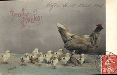 CPA Coq Poule Poussins 