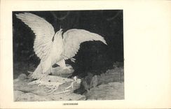 Vintage Postcard Imagination Illustrator Waterloo Eagle Napoleon 1st