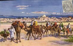 CPA Orientalisme Tunis Caravane