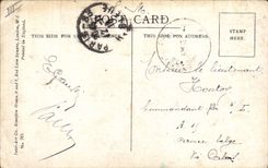 CPA Chien Chiens Chiot Hopte to see you in a day or two