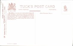 Vintage Postcard Dog Dogs Pup Collie dogs