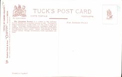 Vintage Postcard Dog Dogs Pup The Aberdeen burrow