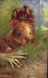Vintage Postcard Dog Dogs Pup Beijing spaniel