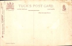 Vintage Postcard Dog Dogs Pup Beijing spaniel