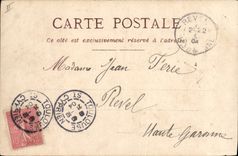 CPA Chien Chiens Chiot 