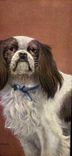 CPA Chien Chiens Chiot 