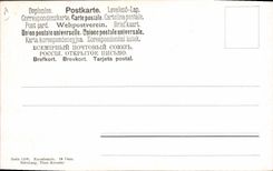 CPA Chien Chiens Chiot 