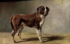 CPA Chien Chiens Chiot 