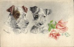 CPA Chien Chiens Chiot 