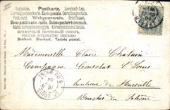 CPA Chien Chiens Chiot 