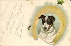 Vintage Postcard Chien Dogs Pup Horseshoe