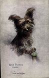 CPA Chien Chiens Chiot Skye Terrier Puppy