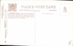 CPA Chien Chiens Chiot Skye Terrier Puppy