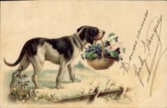 CPA Chien Chiens Chiot 