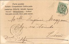 CPA Chien Chiens Chiot 