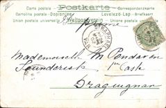 CPA Chien Chiens Chiot 