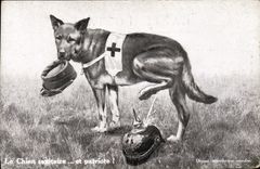CPA Sante Militaria Le chien sanitaire Croix Rouge et patriote