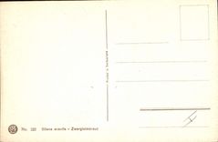 Vintage Postcard Imagination Illustrator Mountain pastures