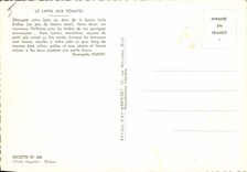 Postal el conejo a los tomates