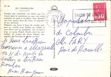 Postal los Canelones