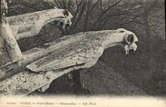 CPA Gargouilles Paris Notre Dame 